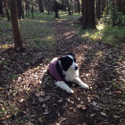bassetmooch1203's profile picture. 寒い…
