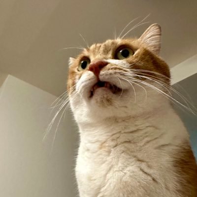 masamin99089019's profile picture. the manager 。プロレス、大相撲を気ままに呟きます。仙女／元W1勢の活躍を楽しむ。