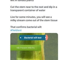 Animalscience (@animalscience12) 's Twitter Profile