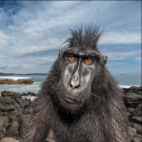 Florian Demmer (@fdemmer) 's Twitter Profile
