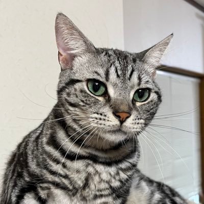 たなさんのプロフィール画像