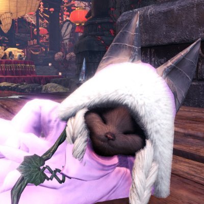 RiN_mhwi's profile picture. #MHWilds #ナイトレイン
平和にのんびりやってます