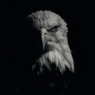 tlgyemir's profile picture. 