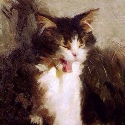 nas_rukia2802's profile picture. 