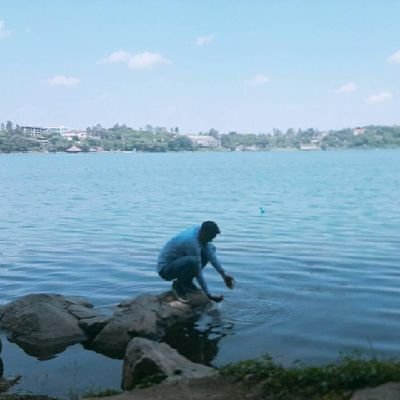 Dani47633445418's profile picture. 