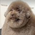 pudgeonsol (@pudge_on_sol) Twitter profile photo pudgeonsol (@pudge_on_sol) Twitter profile photo
