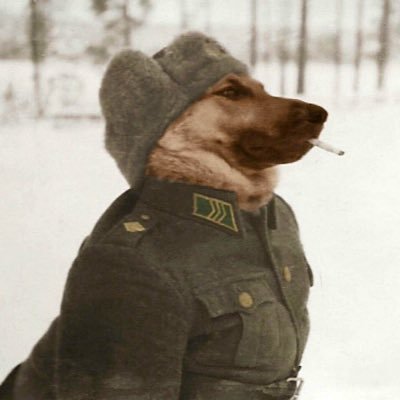 crazysht2002's profile picture. only crazy stuff here🚭🏴‍☠️Highly sensitive content be careful ☠️