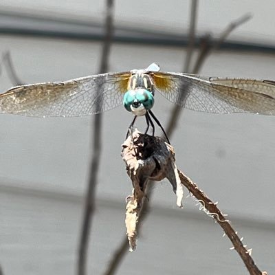 Jaimie1642765's profile picture. 