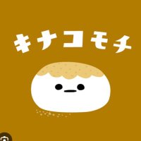 きなこ (@gxwqj4u5xjo6axy) 's Twitter Profile