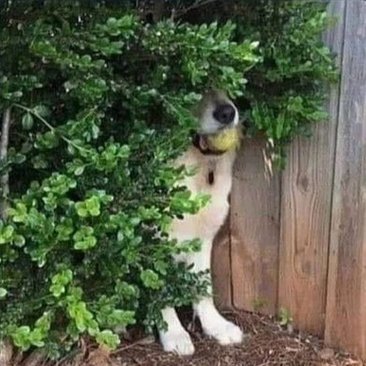 xOxmxexgxax's profile picture. 