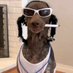 tu mamá (@d_glzzzzzzz) Twitter profile photo tu mamá (@d_glzzzzzzz) Twitter profile photo