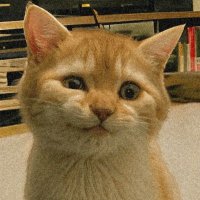 Margaret Jane (@hcrypt001) 's Twitter Profile