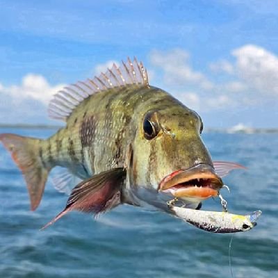 KarekaSang64141's profile picture. 