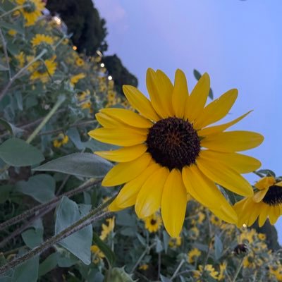 d_ow_by's profile picture. 投資やクレカ、キャッシュレスに興味あります