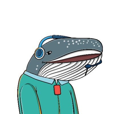 data_stacksats's profile picture. 