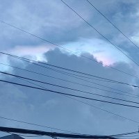 mich (@micheldelaques1) 's Twitter Profile