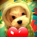 Bora Lee - @2boraball - Twitter