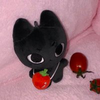 엽냐 (@cats2yeop) 's Twitter Profile