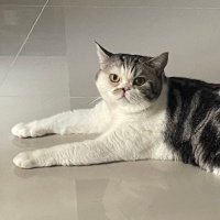 Bugifff 💙❤️ (@bugifff) 's Twitter Profile