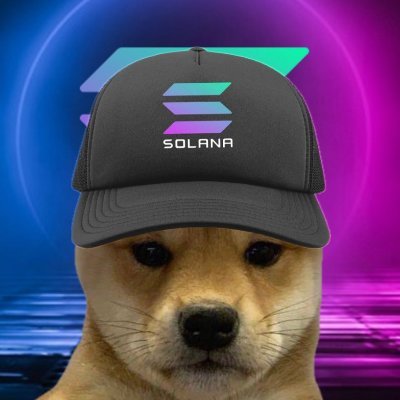 davidiikkk's profile picture. either zero or infinity