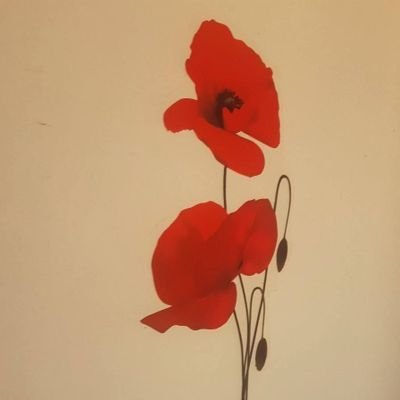 Orgogliosamente Palermitana.
Viva l'Italia Antifascista