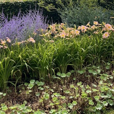 2323second's profile picture. 