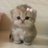 ceeae_11's profile image