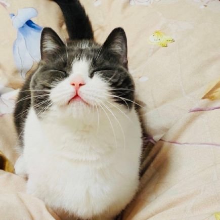𝗠öö𝗣さんのプロフィール画像