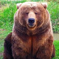 Christian Skrepenak (@sonofkong78) 's Twitter Profile