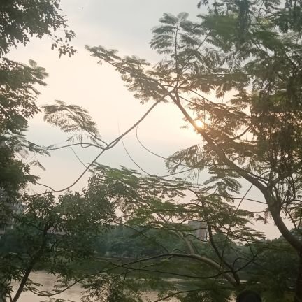 AkuAku37424's profile picture. 