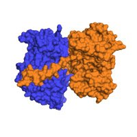 Remenyi_group (@groupremenyi) 's Twitter Profile