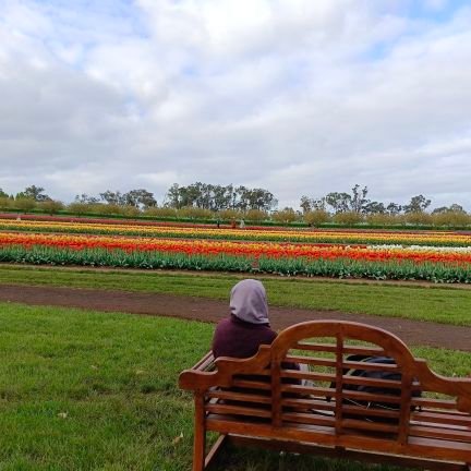 jengnining's profile picture. 