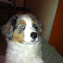 michael forti - @FortiMichael - Twitter