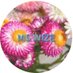 MSWIZE (@mswize55771) Twitter profile photo MSWIZE (@mswize55771) Twitter profile photo