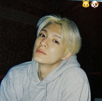 ᵎ ҂ ࣪˖ ˖ ࣪⋆𓂂 — #JENO #SION #nct 🐶🌷
꒰ fan acc ꒱ ~@zelxin_oo