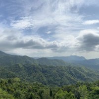 miiiii (@pxmo66) 's Twitter Profile