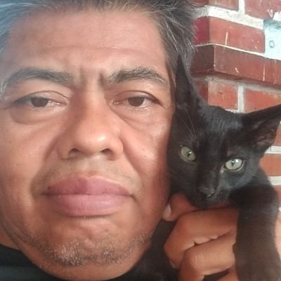 licPabloGuzmanE's profile picture. polvo que lleva el viento