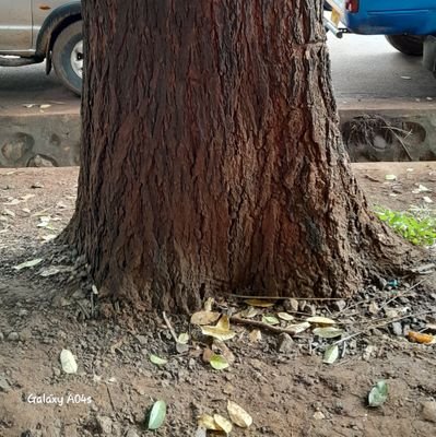 33kushman's profile picture. 28