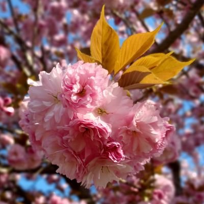 CloudEFX's profile picture. 