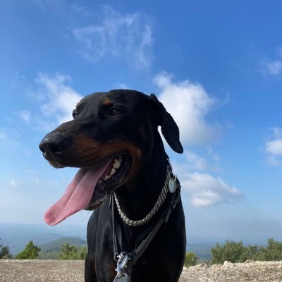 Tarynsman's profile picture. 