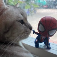 ขนมสีชมพูที่ไม่ใช่ขนมสีชมพู ✨ (@pinkstory_1997) 's Twitter Profile Photo ขนมสีชมพูที่ไม่ใช่ขนมสีชมพู ✨ (@pinkstory_1997) 's Twitter Profile Photo