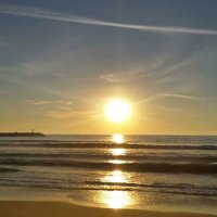 💫🌸Carmen 🌸💫 (@carmen21272) 's Twitter Profile