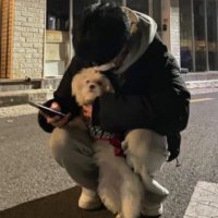 Dazs (@o1qsi) 's Twitter Profile