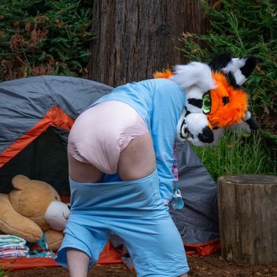 kit_stripes's profile picture. baby fur/AD stripey cape fox. Ace and kinky
☆he/they/she☆
🔞minors will be blocked🔞
https://t.co/KSypbwfDNw