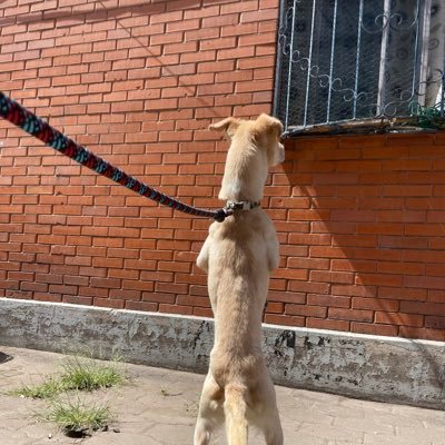 pavelevo2's profile picture. 