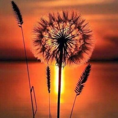 veravolu's profile picture. 