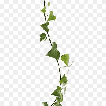 djbravo453744's profile picture. Allahu