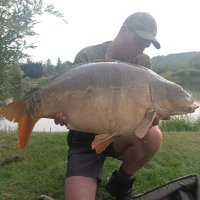 Craig (@craig14204413) 's Twitter Profile