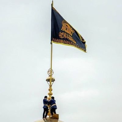 Cafer4929683006's profile picture. 