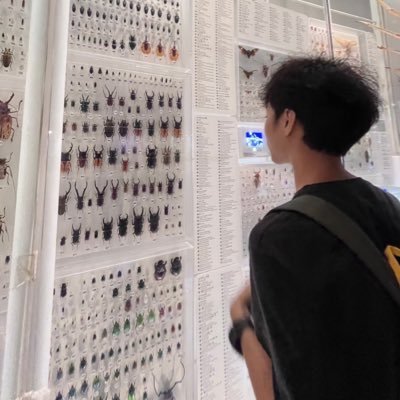 Thailand; Graduate student of Entomology; Fulgoridae enthusiast; Star Wars and One Piece mania; 🧡🍊